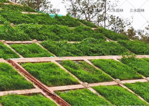 內(nèi)江市高速公路邊坡施工找專業(yè)的工程隊(duì)