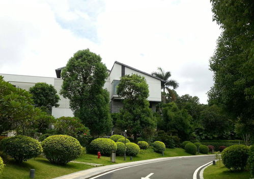 大業(yè)園林 園林綠化對一個城市的重要性