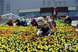 市政園林工程施工技術(shù)難點及其應(yīng)對措施 深圳市政園林綠化技巧培訓