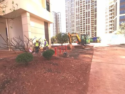 天才興業(yè)城奉上三月工程家書(shū),與您共同見(jiàn)證&ldquo;家&rdquo;的成長(zhǎng)!