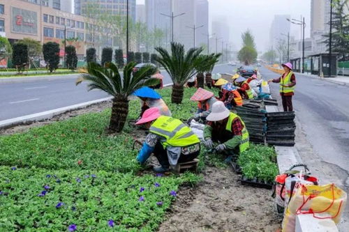 金城路這5年的變化 你看到了嗎