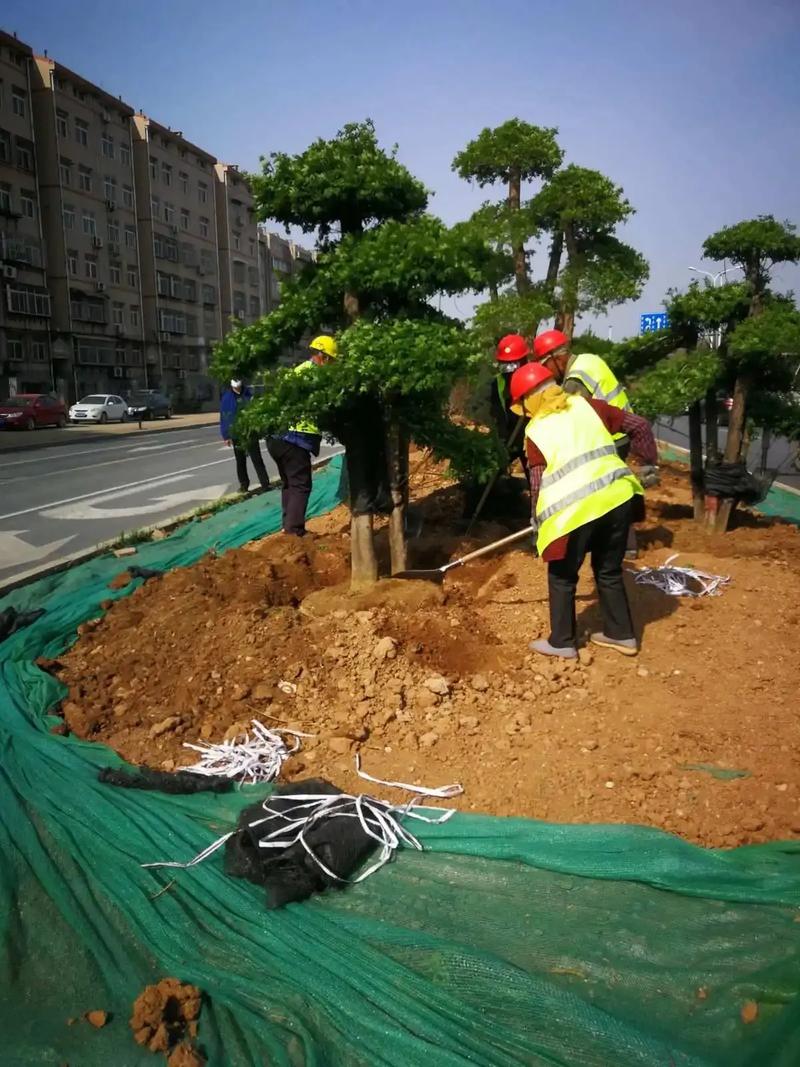 綠化園林工程.綠化園林工程打造美麗環境,從綠化施工開始.我們